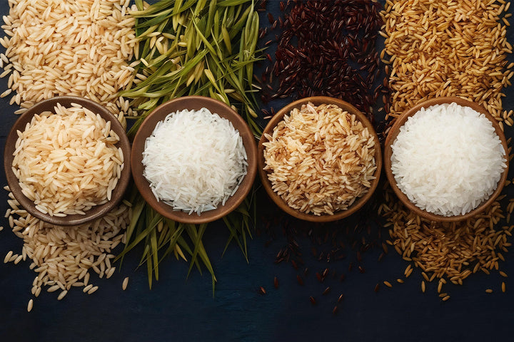 Rice Reimagined: The Everyday Grain That Nourishes Generations